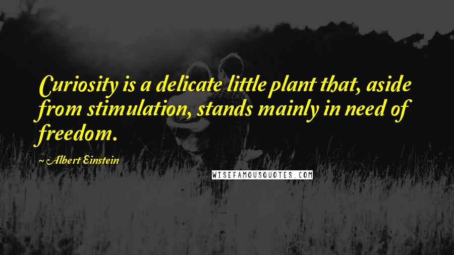 Albert Einstein Quotes: Curiosity is a delicate little plant that, aside from stimulation, stands mainly in need of freedom.