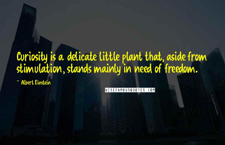 Albert Einstein Quotes: Curiosity is a delicate little plant that, aside from stimulation, stands mainly in need of freedom.