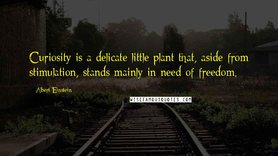 Albert Einstein Quotes: Curiosity is a delicate little plant that, aside from stimulation, stands mainly in need of freedom.