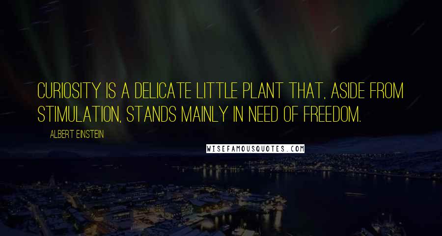 Albert Einstein Quotes: Curiosity is a delicate little plant that, aside from stimulation, stands mainly in need of freedom.