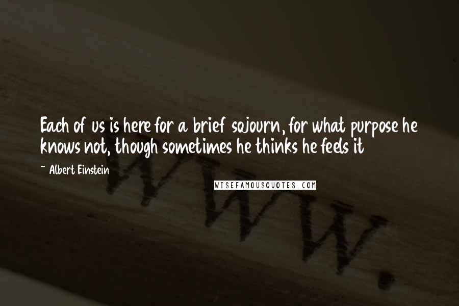 Albert Einstein Quotes: Each of us is here for a brief sojourn, for what purpose he knows not, though sometimes he thinks he feels it