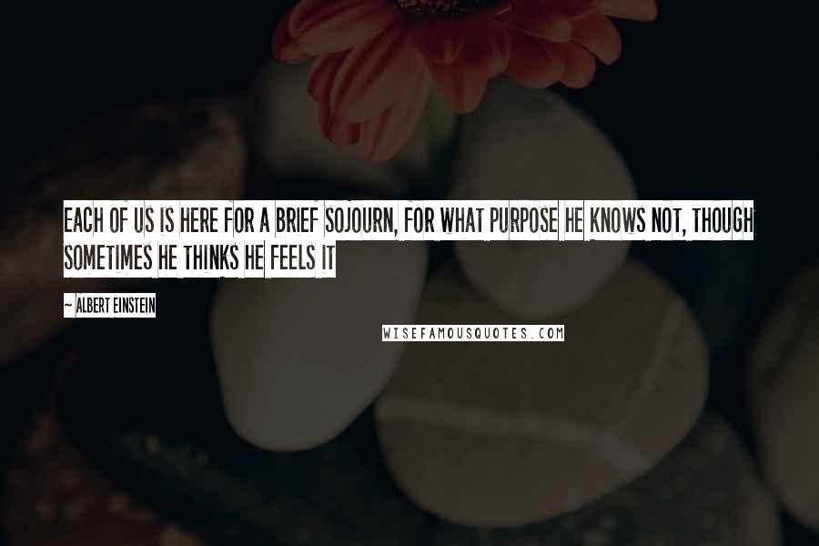 Albert Einstein Quotes: Each of us is here for a brief sojourn, for what purpose he knows not, though sometimes he thinks he feels it