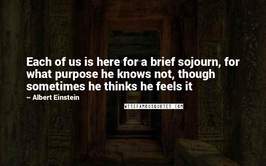 Albert Einstein Quotes: Each of us is here for a brief sojourn, for what purpose he knows not, though sometimes he thinks he feels it