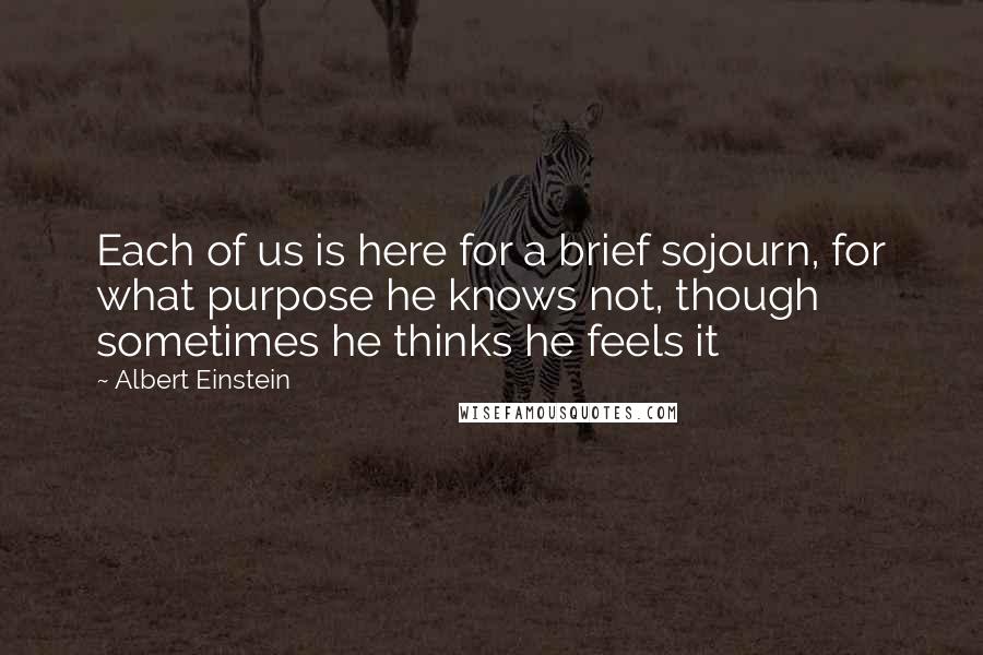 Albert Einstein Quotes: Each of us is here for a brief sojourn, for what purpose he knows not, though sometimes he thinks he feels it