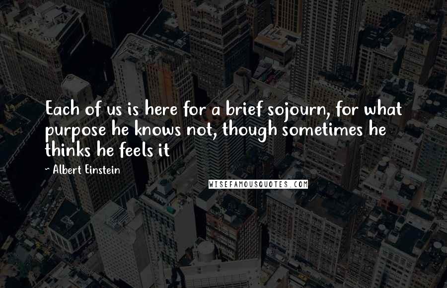 Albert Einstein Quotes: Each of us is here for a brief sojourn, for what purpose he knows not, though sometimes he thinks he feels it