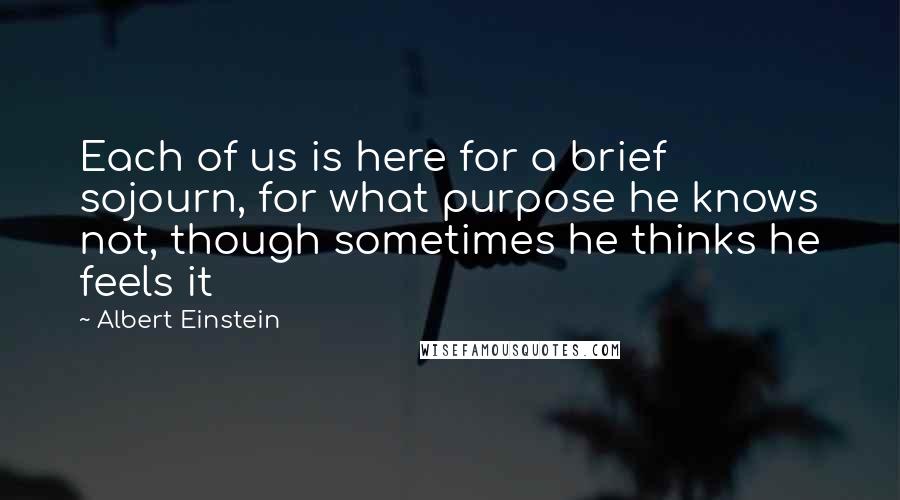 Albert Einstein Quotes: Each of us is here for a brief sojourn, for what purpose he knows not, though sometimes he thinks he feels it