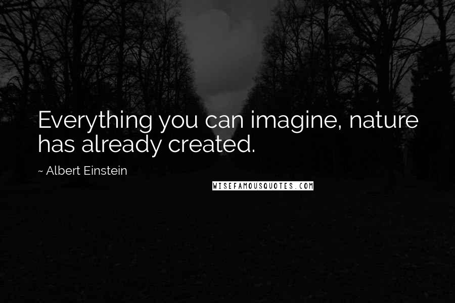 Albert Einstein Quotes: Everything you can imagine, nature has already created.