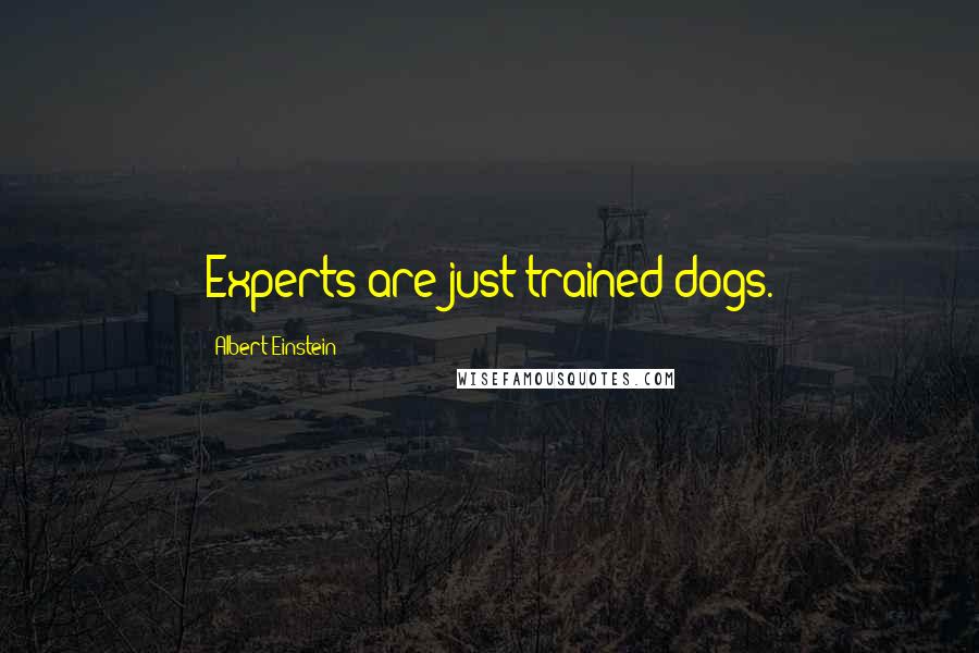 Albert Einstein Quotes: Experts are just trained dogs.