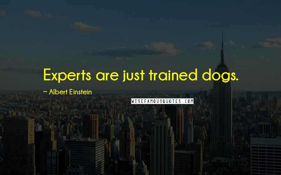 Albert Einstein Quotes: Experts are just trained dogs.