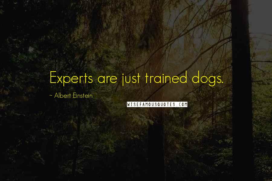 Albert Einstein Quotes: Experts are just trained dogs.