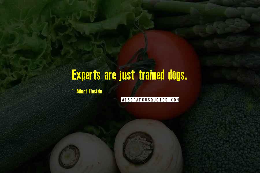 Albert Einstein Quotes: Experts are just trained dogs.
