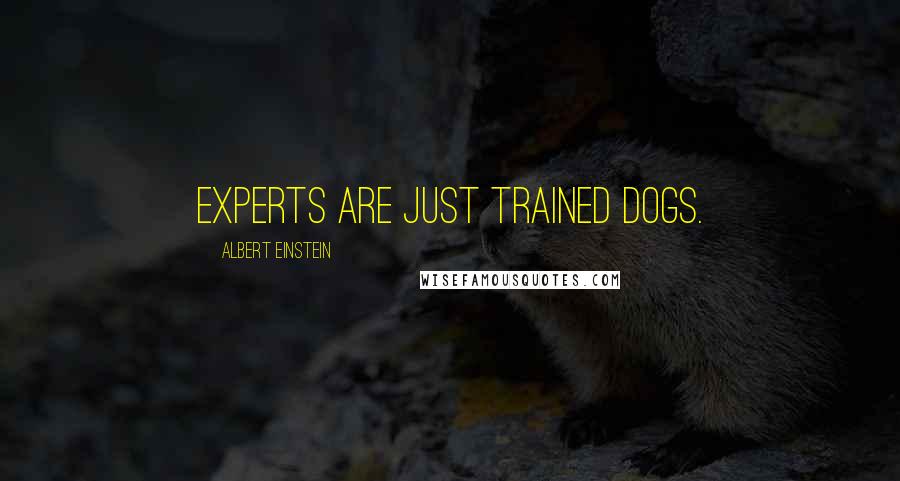 Albert Einstein Quotes: Experts are just trained dogs.