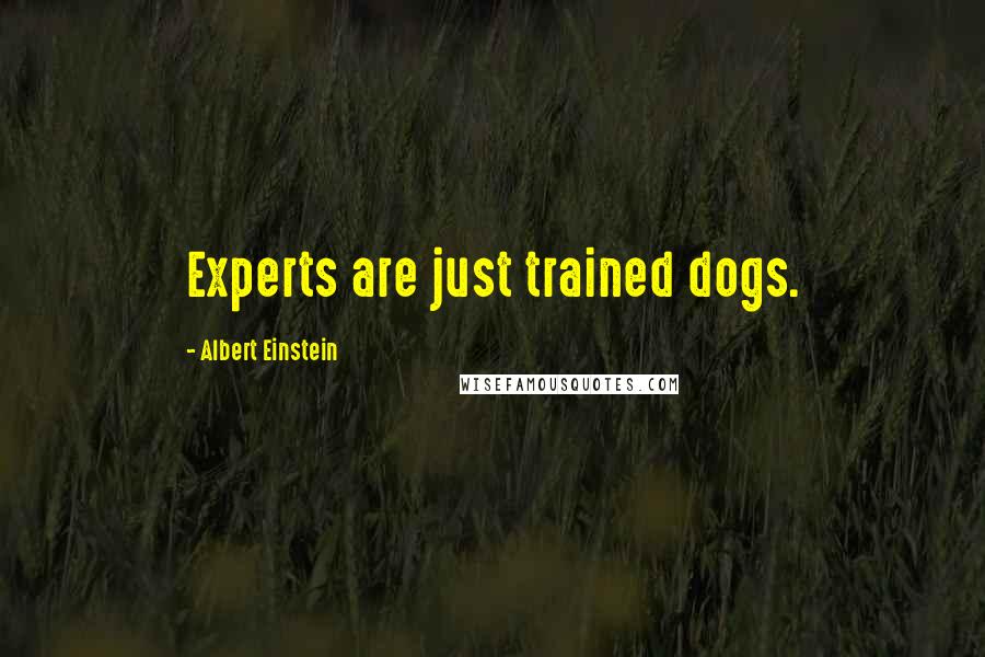 Albert Einstein Quotes: Experts are just trained dogs.