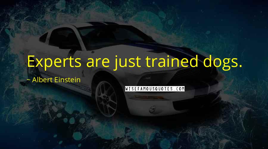 Albert Einstein Quotes: Experts are just trained dogs.