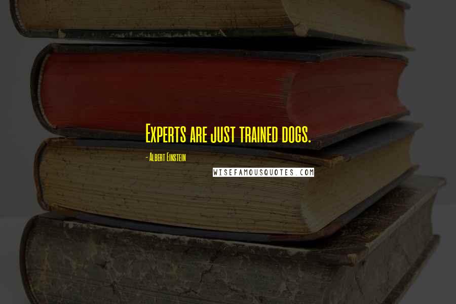 Albert Einstein Quotes: Experts are just trained dogs.
