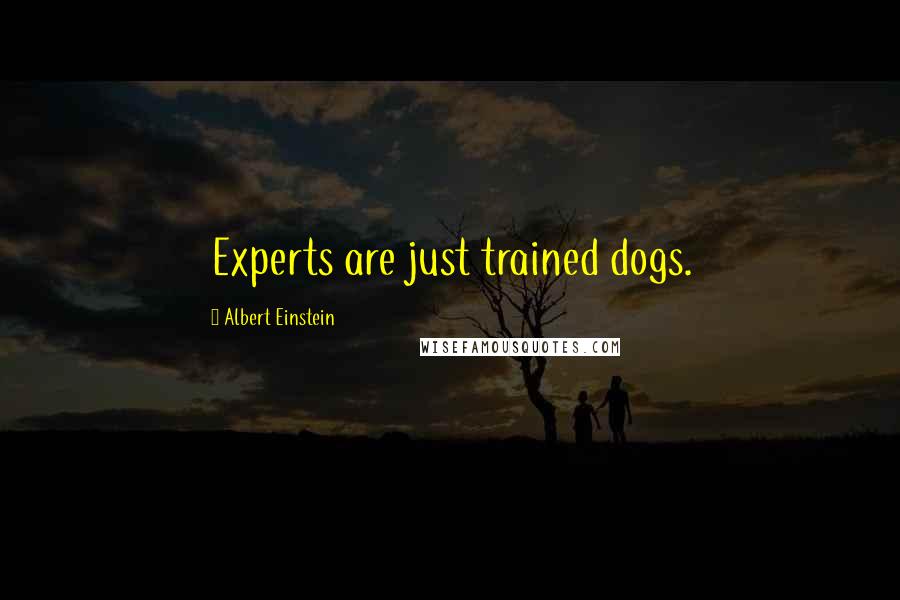 Albert Einstein Quotes: Experts are just trained dogs.