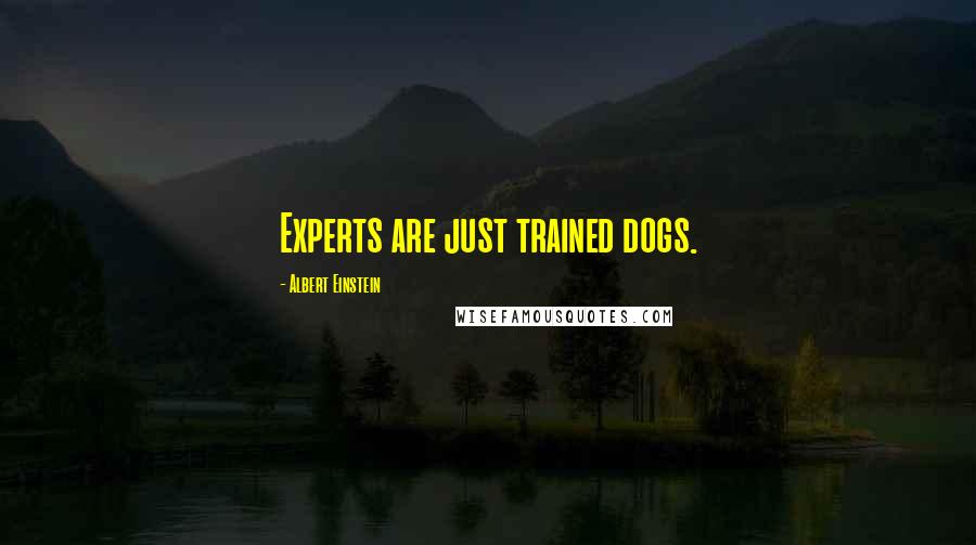 Albert Einstein Quotes: Experts are just trained dogs.