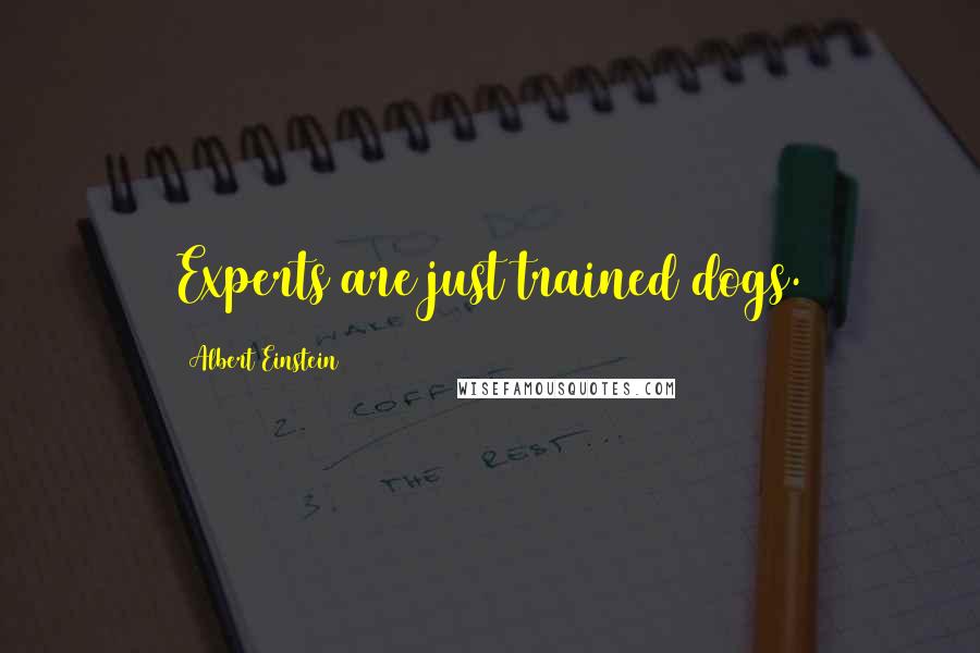 Albert Einstein Quotes: Experts are just trained dogs.