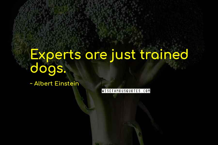 Albert Einstein Quotes: Experts are just trained dogs.