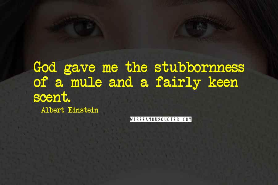 Albert Einstein Quotes: God gave me the stubbornness of a mule and a fairly keen scent.