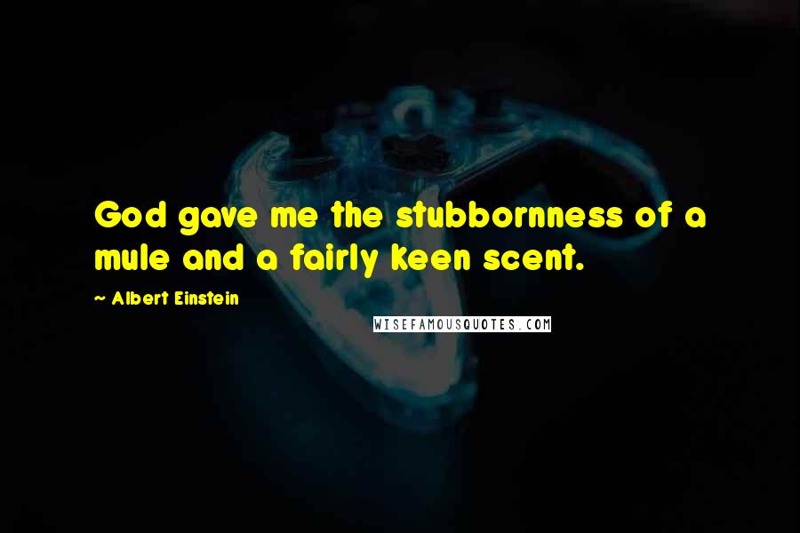 Albert Einstein Quotes: God gave me the stubbornness of a mule and a fairly keen scent.