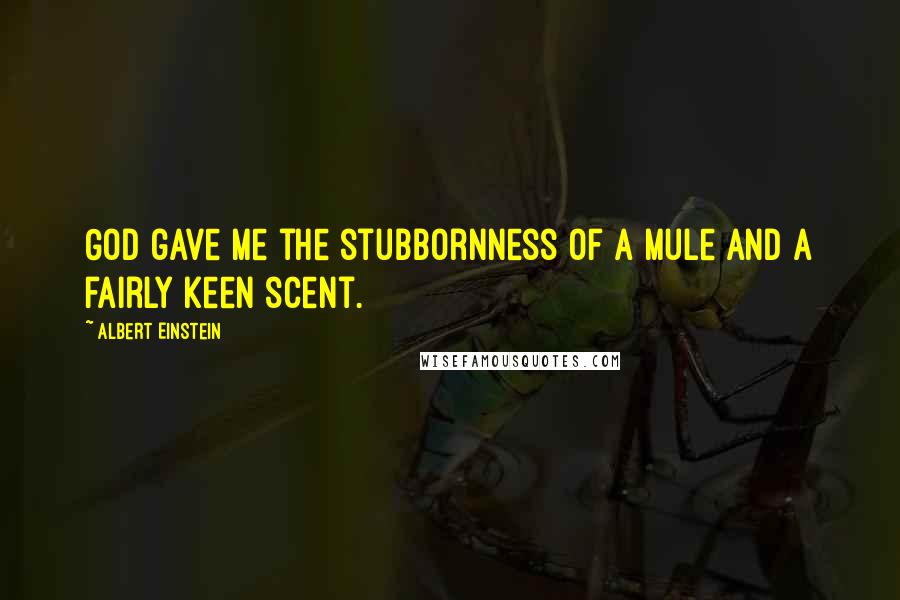 Albert Einstein Quotes: God gave me the stubbornness of a mule and a fairly keen scent.