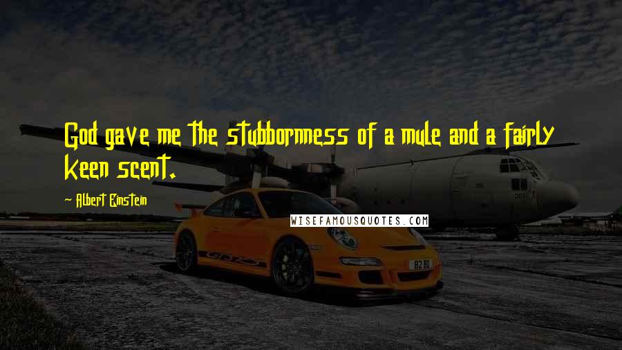 Albert Einstein Quotes: God gave me the stubbornness of a mule and a fairly keen scent.