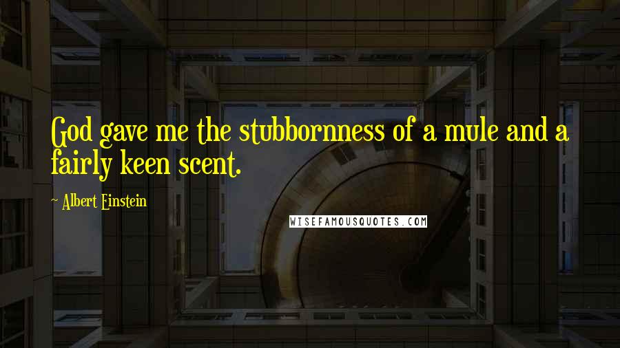 Albert Einstein Quotes: God gave me the stubbornness of a mule and a fairly keen scent.