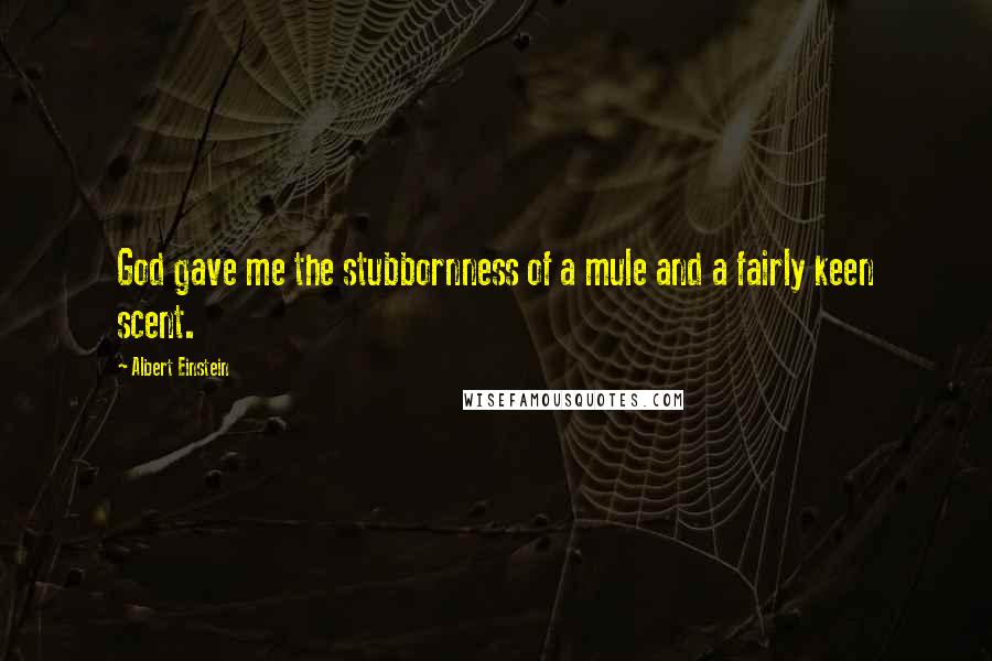 Albert Einstein Quotes: God gave me the stubbornness of a mule and a fairly keen scent.