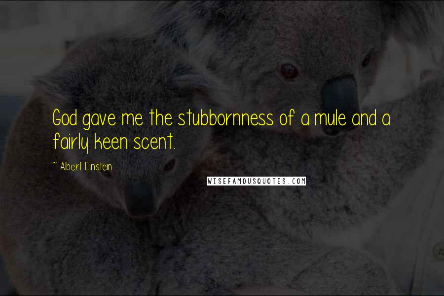 Albert Einstein Quotes: God gave me the stubbornness of a mule and a fairly keen scent.