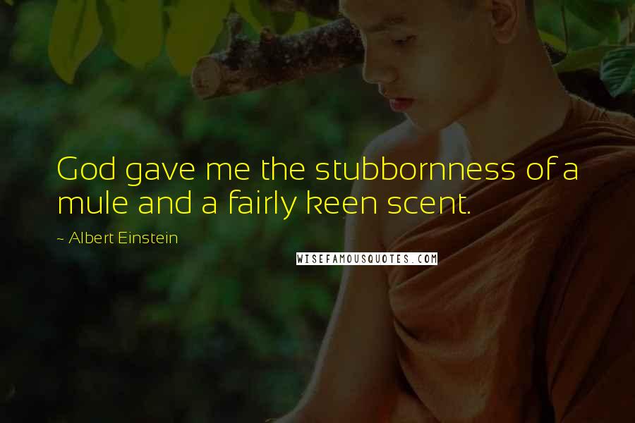 Albert Einstein Quotes: God gave me the stubbornness of a mule and a fairly keen scent.