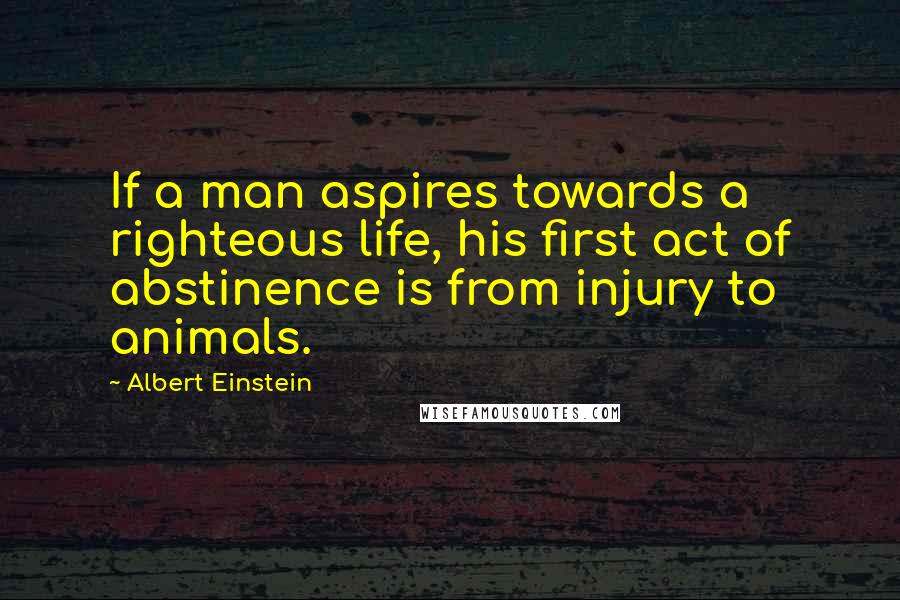 Albert Einstein Quotes: If a man aspires towards a righteous life, his first act of abstinence is from injury to animals.