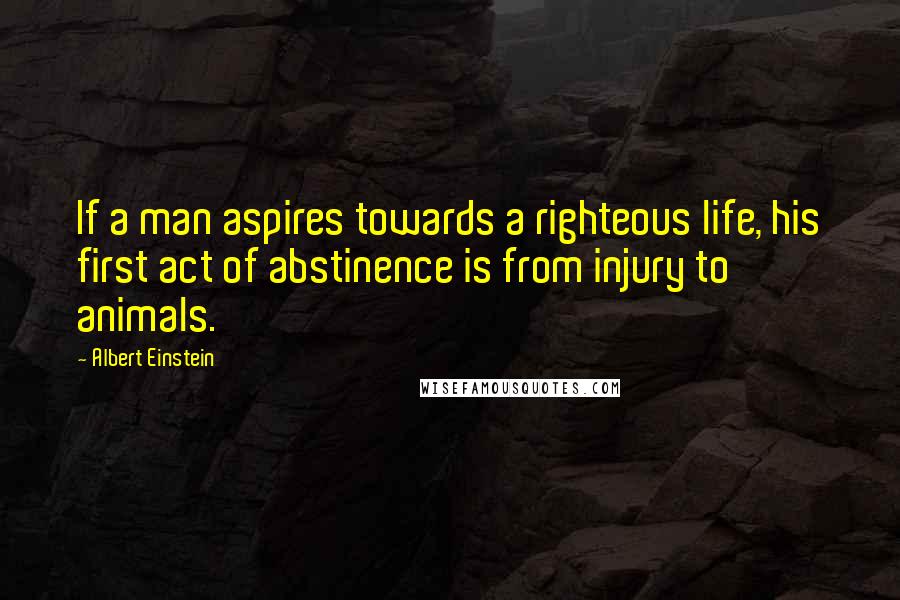 Albert Einstein Quotes: If a man aspires towards a righteous life, his first act of abstinence is from injury to animals.