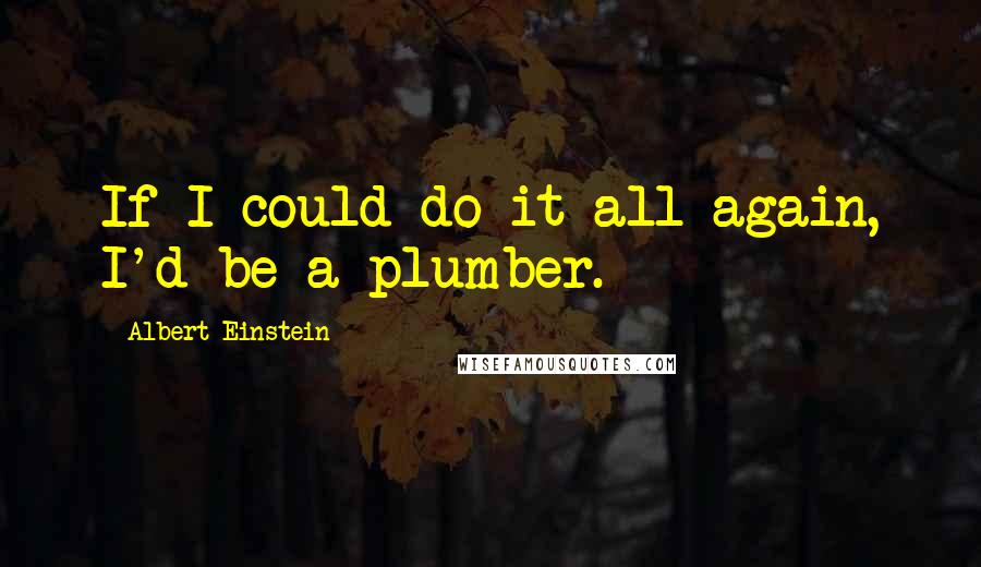 Albert Einstein Quotes: If I could do it all again, I'd be a plumber.