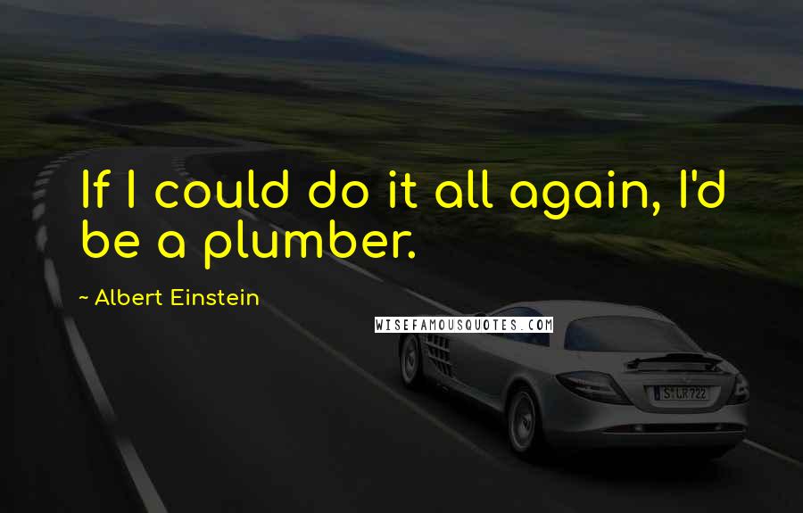 Albert Einstein Quotes: If I could do it all again, I'd be a plumber.