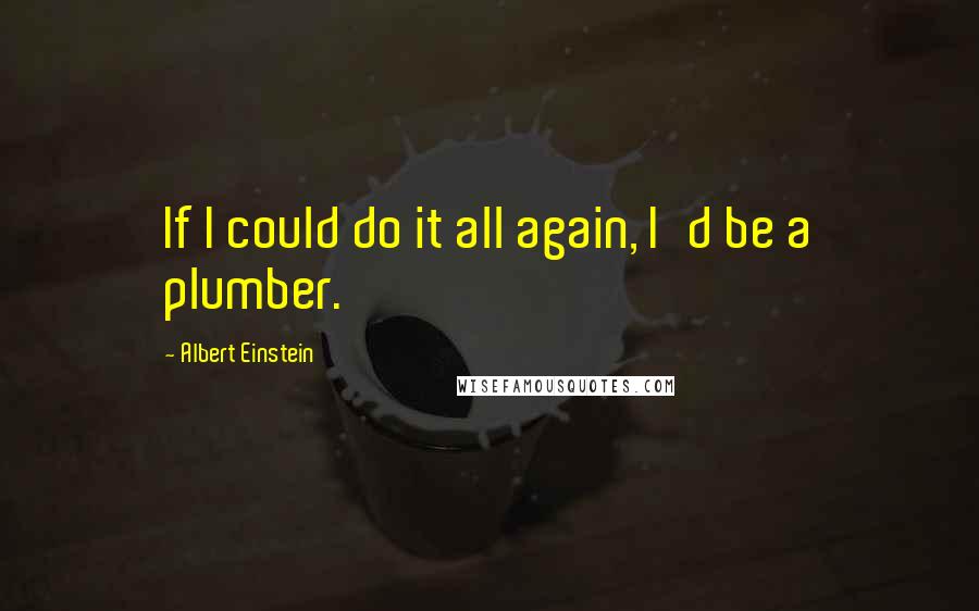 Albert Einstein Quotes: If I could do it all again, I'd be a plumber.