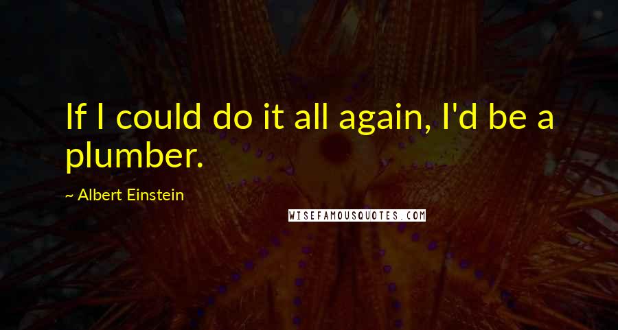 Albert Einstein Quotes: If I could do it all again, I'd be a plumber.