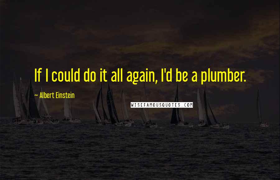 Albert Einstein Quotes: If I could do it all again, I'd be a plumber.