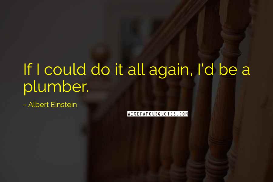 Albert Einstein Quotes: If I could do it all again, I'd be a plumber.