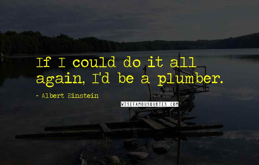 Albert Einstein Quotes: If I could do it all again, I'd be a plumber.