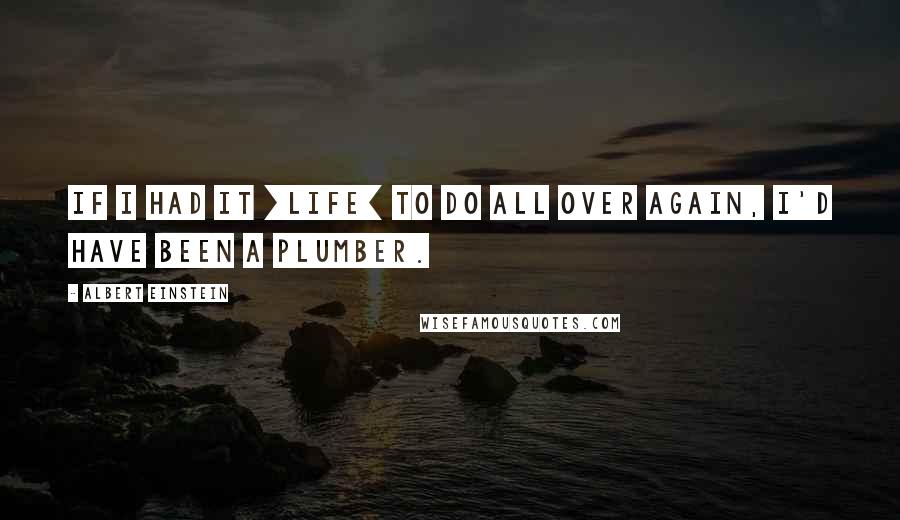 Albert Einstein Quotes: If I had it [life] to do all over again, I'd have been a plumber.