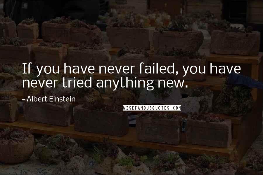 Albert Einstein Quotes: If you have never failed, you have never tried anything new.