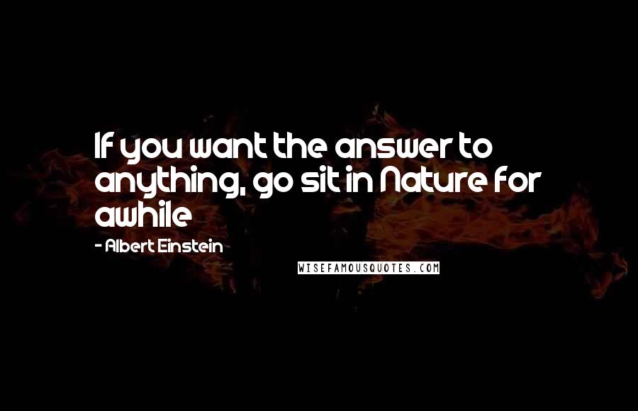 Albert Einstein Quotes: If you want the answer to anything, go sit in Nature for awhile