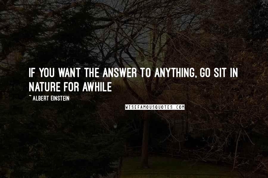 Albert Einstein Quotes: If you want the answer to anything, go sit in Nature for awhile