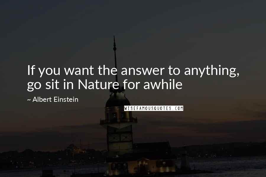 Albert Einstein Quotes: If you want the answer to anything, go sit in Nature for awhile