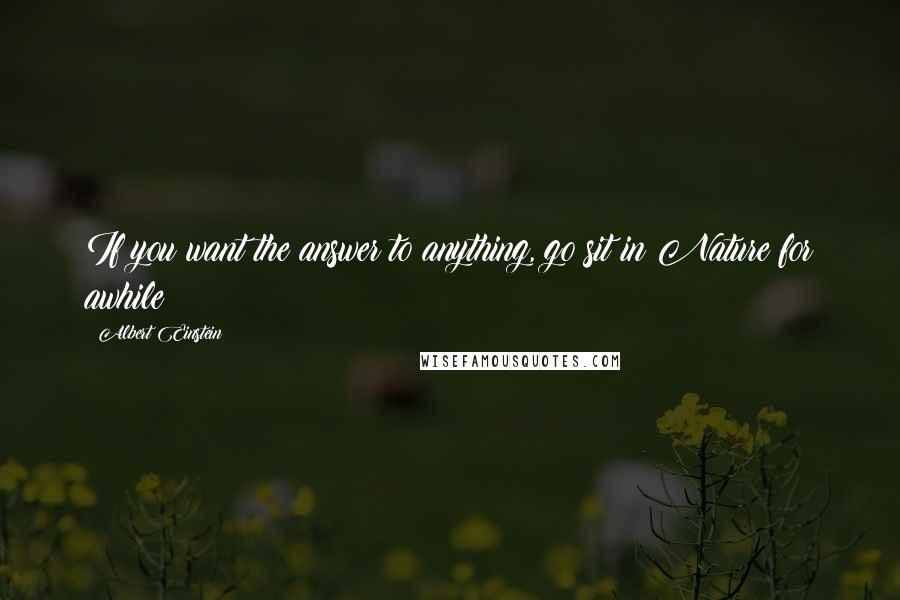 Albert Einstein Quotes: If you want the answer to anything, go sit in Nature for awhile