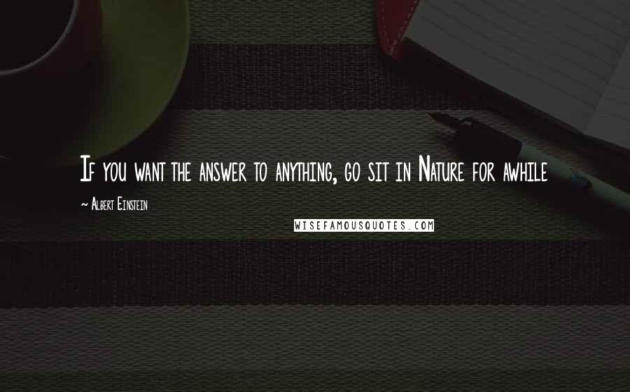 Albert Einstein Quotes: If you want the answer to anything, go sit in Nature for awhile