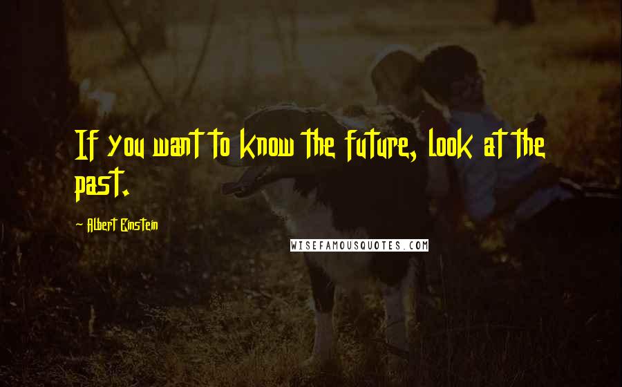 Albert Einstein Quotes: If you want to know the future, look at the past.