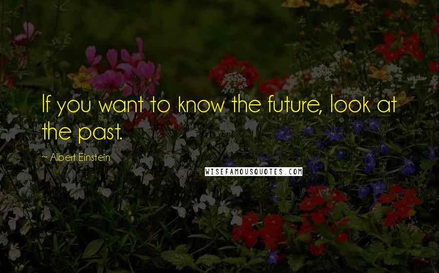 Albert Einstein Quotes: If you want to know the future, look at the past.