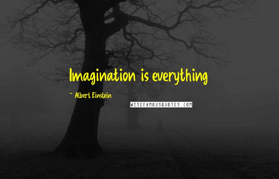 Albert Einstein Quotes: Imagination is everything